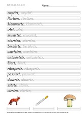 DSS_2S_Bu_rt_Nr_08.pdf